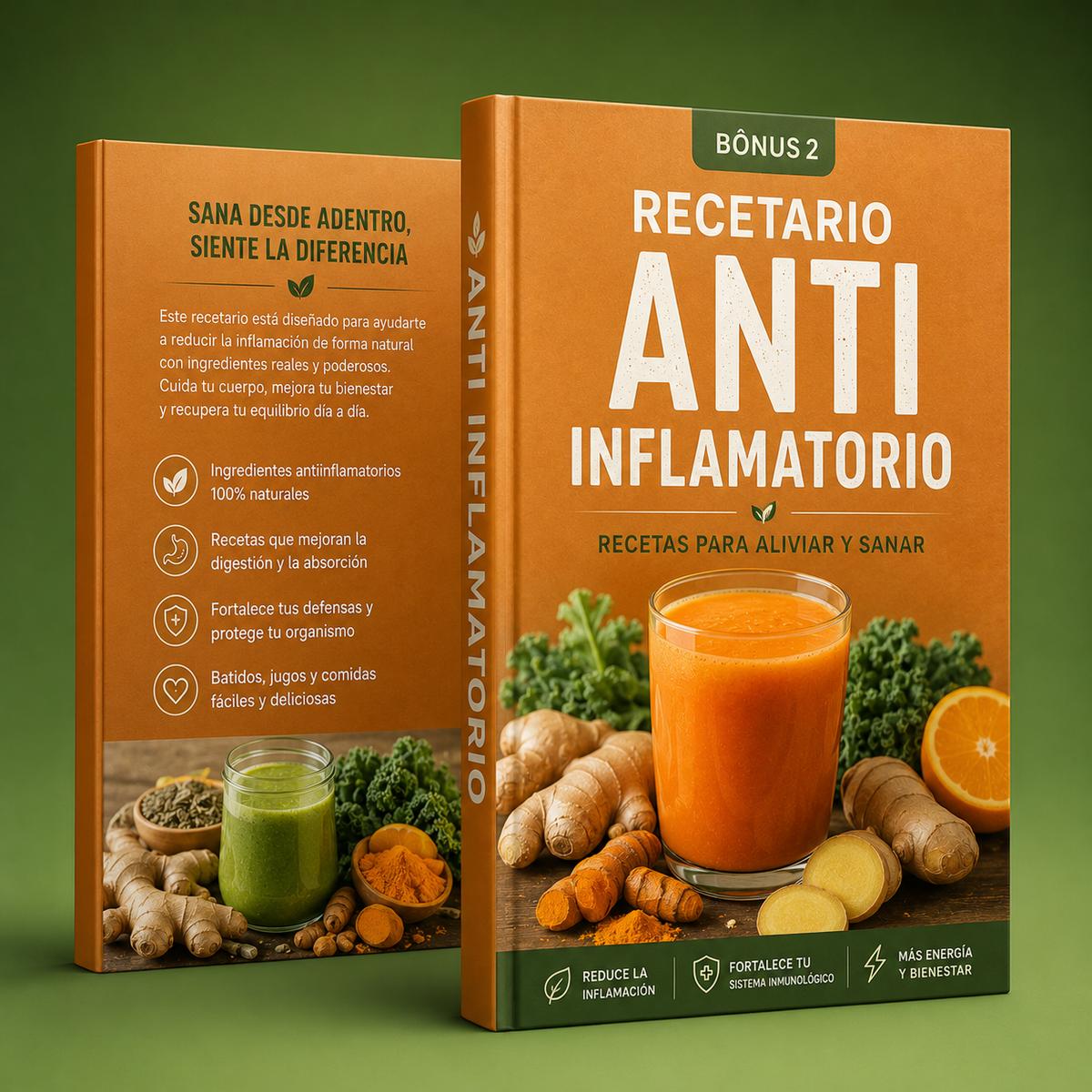 Recetario Anti Inflamatorio