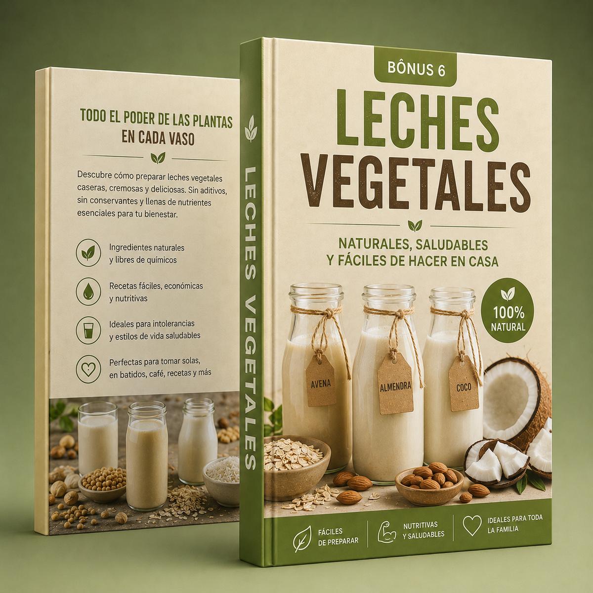 Leches Vegetales Artesanales